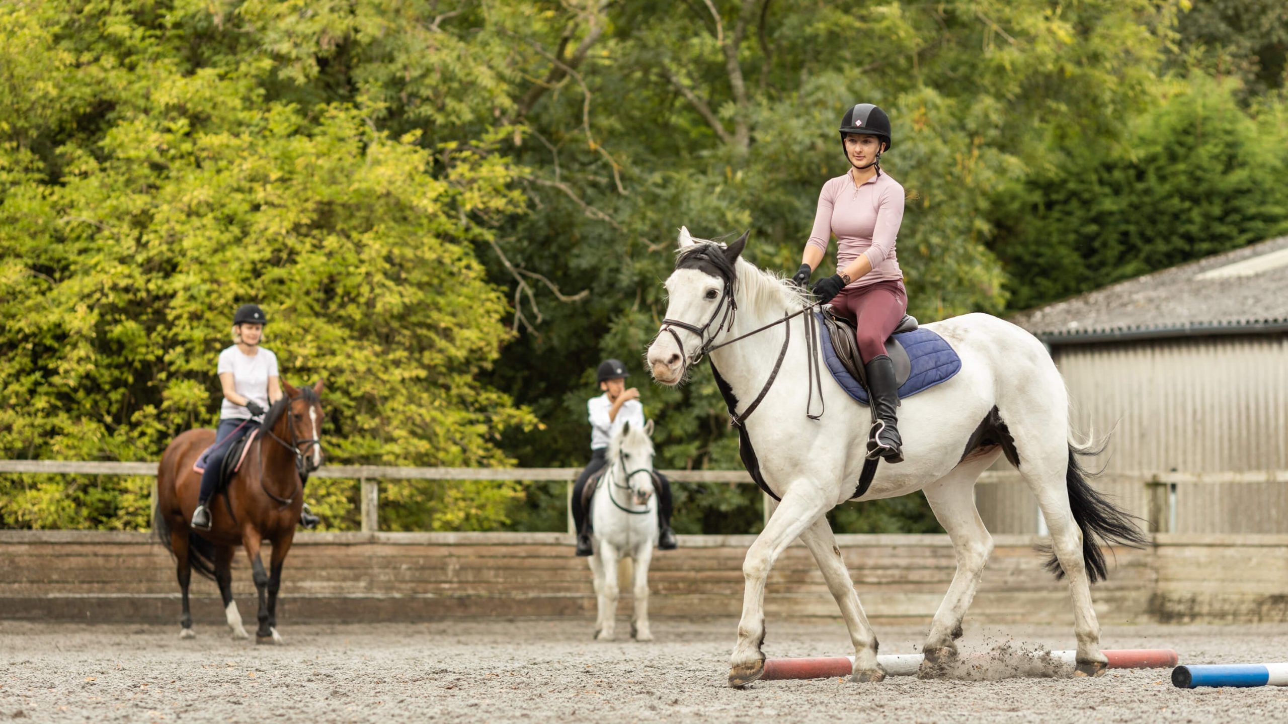 Well-Rounded Rider